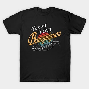 Yes sir, I can - music puns T-Shirt